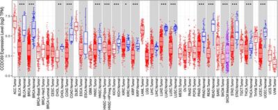 CCDC69 is a prognostic marker of breast cancer and correlates with tumor immune cell infiltration